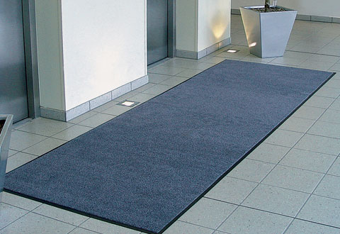 <Proklean Carpets NZ Ltd and Proklean Carpets every where else